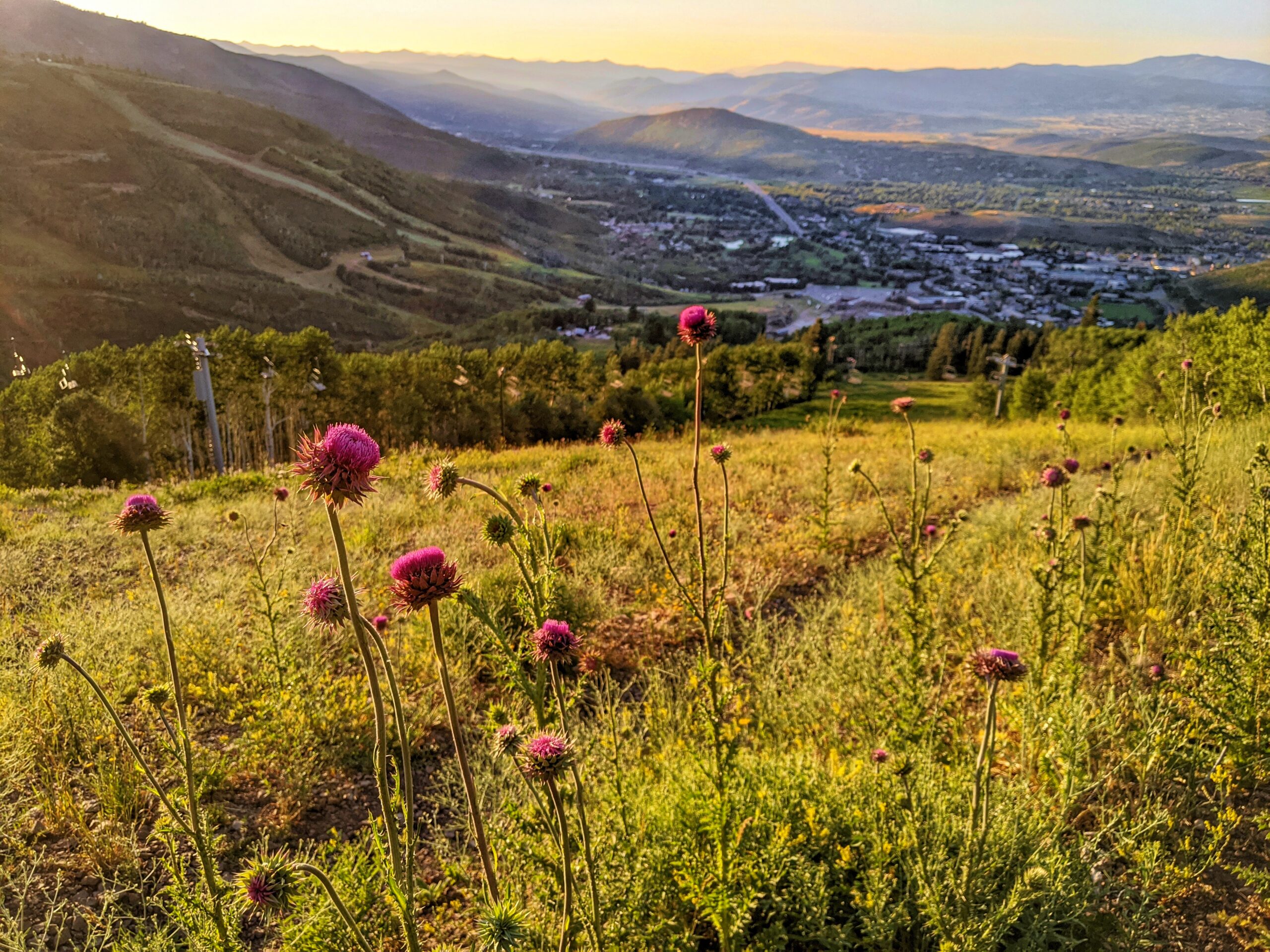 Park City spring