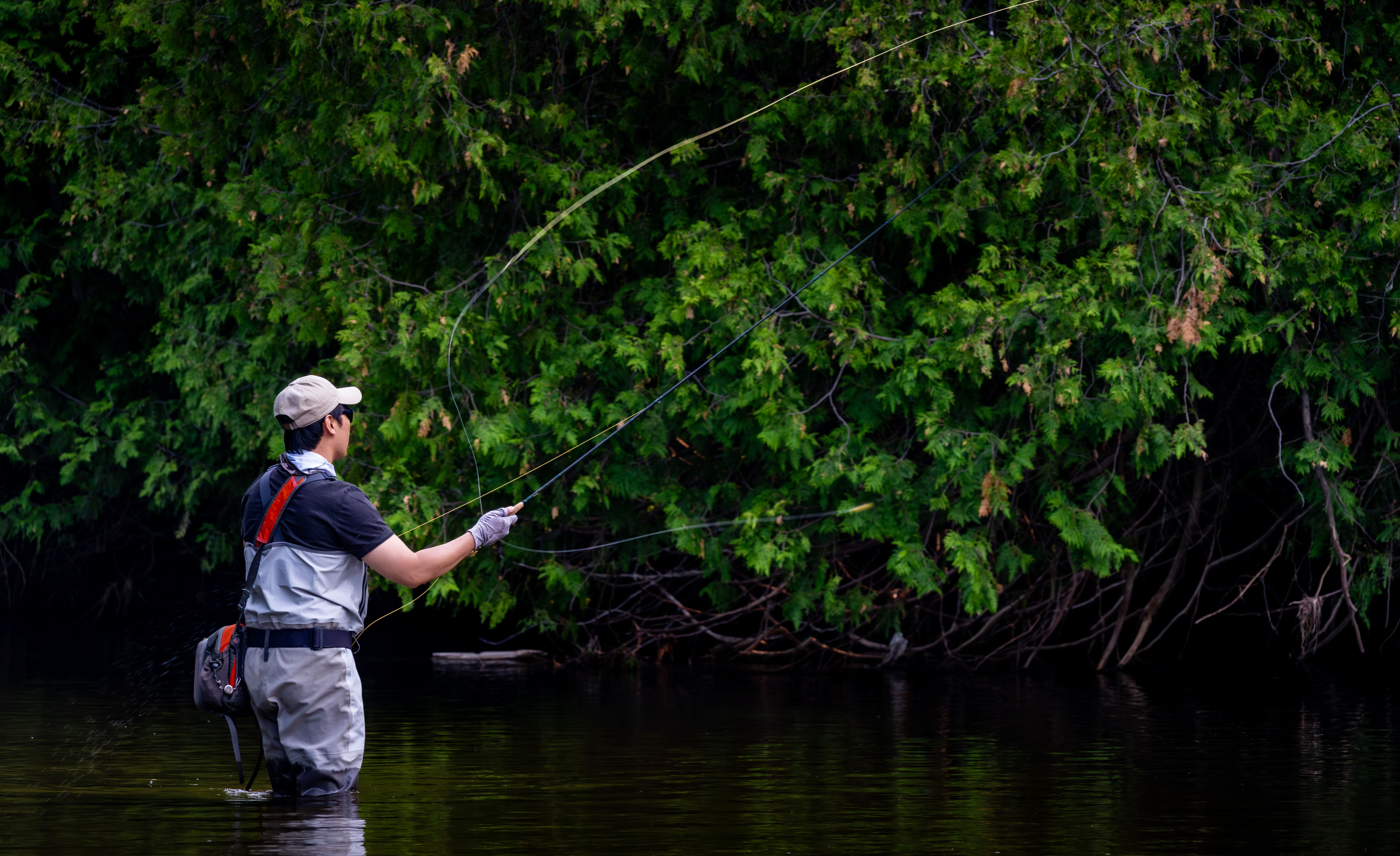Fly fishing Provo River