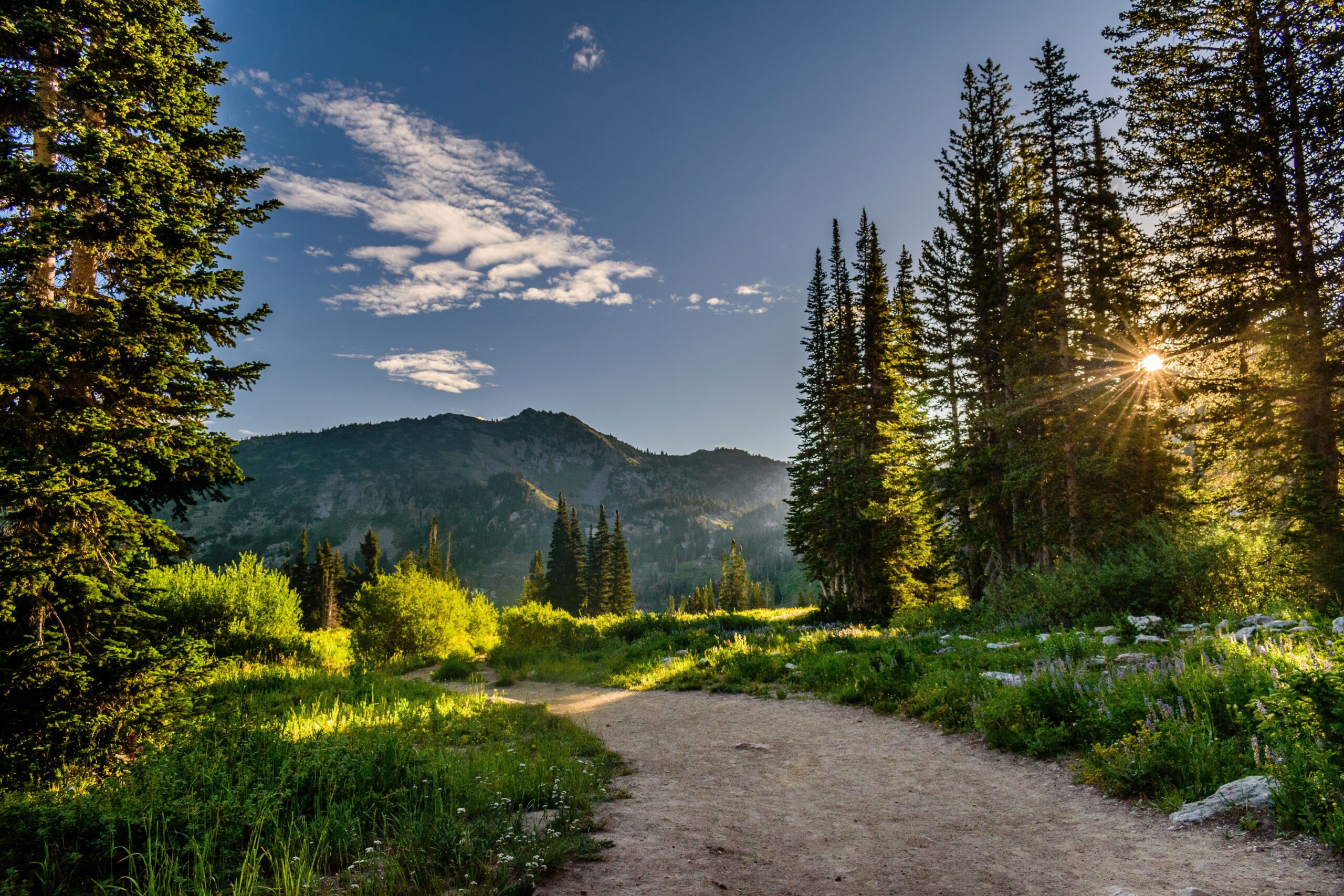 Park City fall